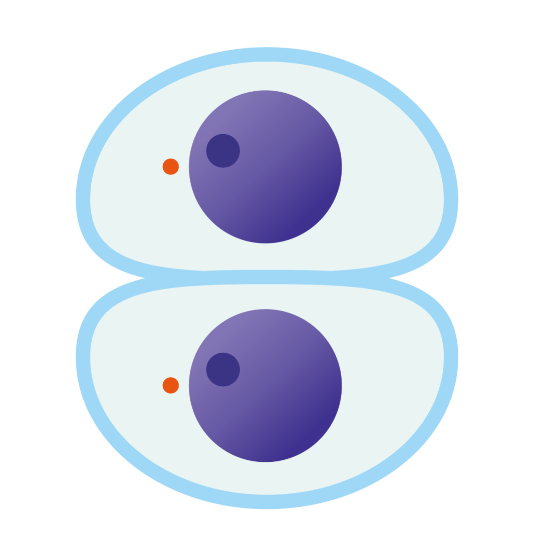 5.png