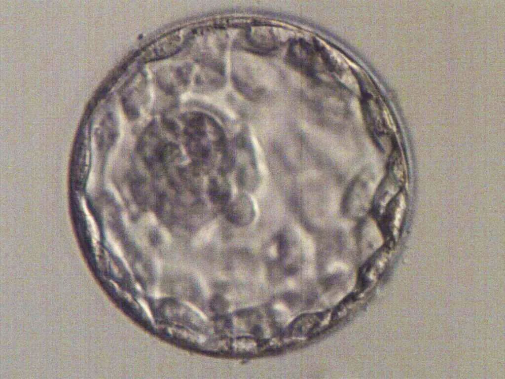 640.jpg