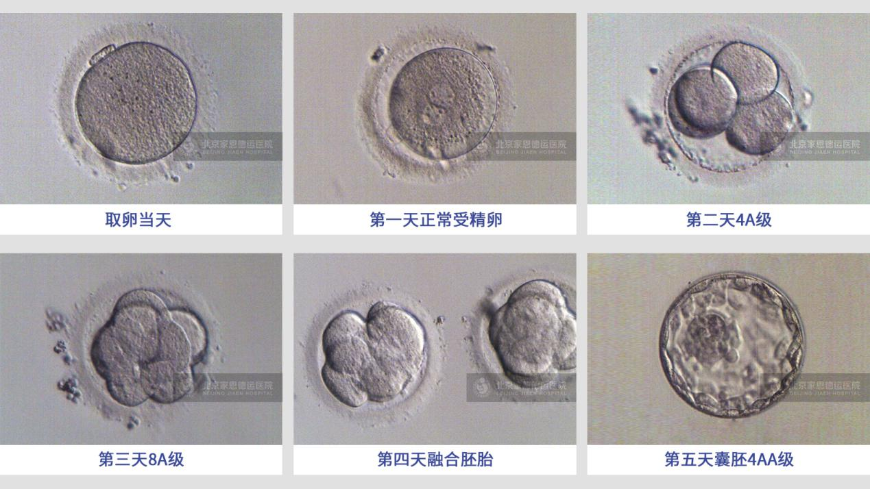 微(wēi)信圖片_20240727085935.png