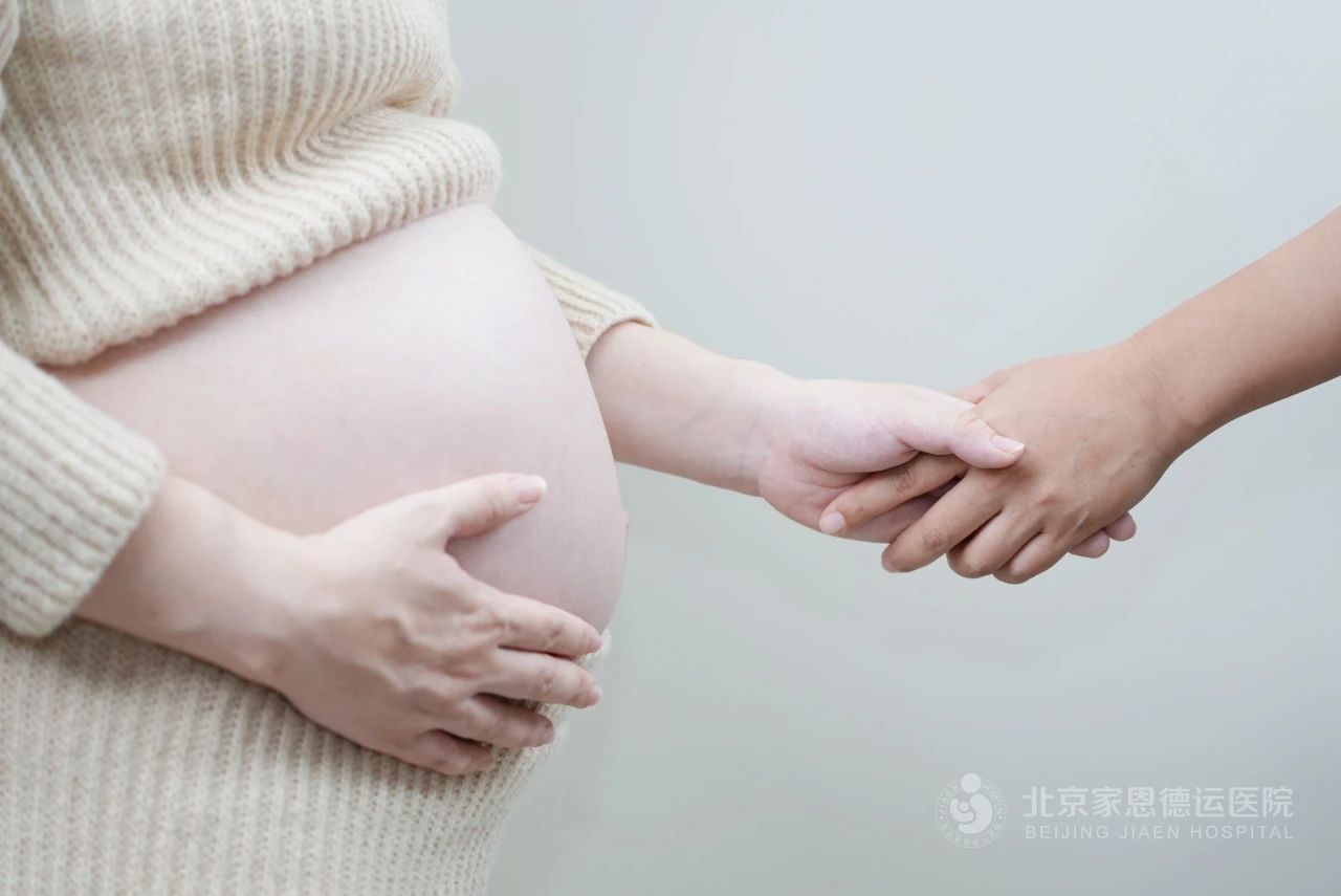 微(wēi)信圖片_20241216101707.jpg