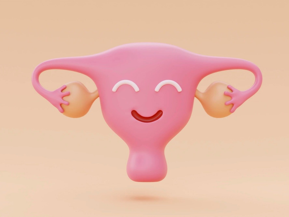 微(wēi)信圖片_20240727095203.jpg